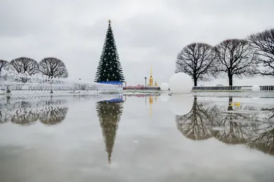 ЛЕГКИЕ И УЛЬТРАЛЕГКИЕ ПУХОВИКИ ДЛЯ ГОРОДСКОЙ ЗИМЫ | Soberger | Дзен картинки