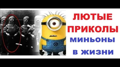 Че по мемам? | Лютые приколы | ВКонтакте картинки