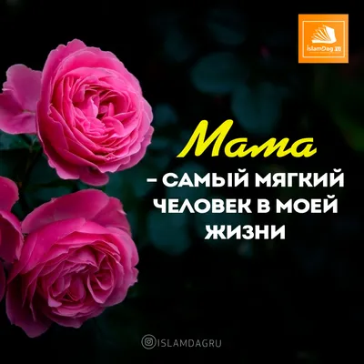 Хадисы и Сунна - #ихсан #мама #ислам #напоминание #намаз #семья  #семьявисламе #мечеть #мусульманка #мусульманин #хиджаб #хадж #мекка |  Facebook картинки