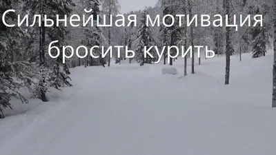 Бросаем курить: 5 важных пунктов которые помогут тебе бросить курить. —  Антон Рябинин на TenChat.ru картинки