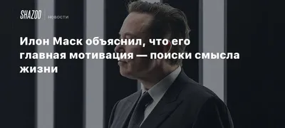 дуэт с @Мотивация для жизни #мотивация лев 🦁,шакалу не товарищ. | TikTok картинки