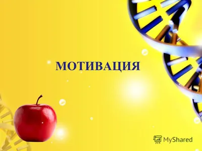 Мотивировать пребывание! Концепция карты для презентации и доклады разведки  Иллюстрация штока - иллюстрации насчитывающей творчество, изменение:  208591940 картинки