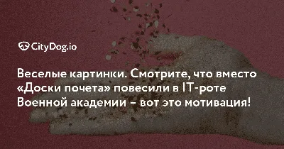 Грудь смазкой бесплатные смешные помечая буквы цитата.. Это цитата из  феминистской помечая. Забавная мотивация, для топс футболок Иллюстрация  вектора - иллюстрации насчитывающей тантьемы, взволнованность: 171145855 картинки