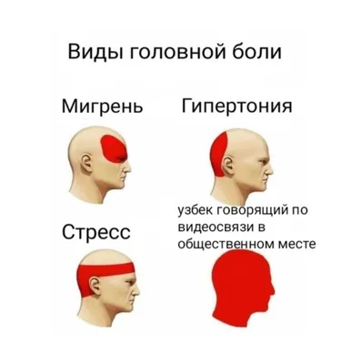 НАСТАЛО ВРЕМЯ / сон :: смешные картинки (фото приколы) / смешные картинки и  другие приколы: комиксы, гиф анимация, видео, лучший интеллектуальный юмор. картинки