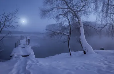 Зимняя ночь. Фотограф Александр Гвоздь картинки