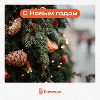 Веселое поздравление с Новым Годом! Шуточное поздравление с Годом Кролика!  #новыйгод2023 #новымгодом - YouTube картинки