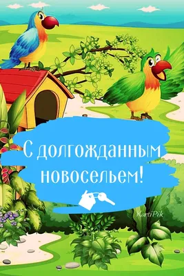 Приколы на Новоселье – купить в интернет-магазине OZON по низкой цене картинки