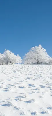 Обои зима, мост, пейзаж картинки на рабочий стол, фото скачать бесплатно картинки