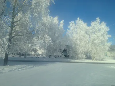 Картинки Зима картинки