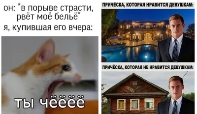 котэ (прикольные картинки с кошками) / смешные картинки и другие приколы:  комиксы, гиф анимация, видео, лучший интеллектуальный юмор. картинки