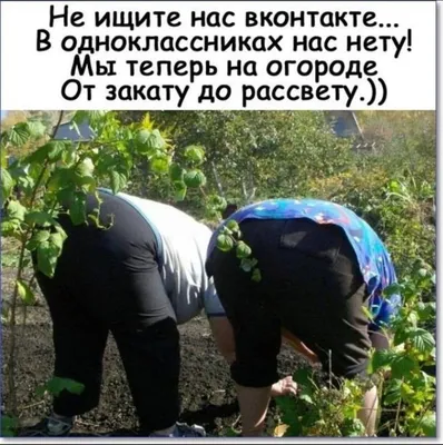 Сад и огород смешные картинки. Заряд позитива после работы в огороде 🌷🍅🍆  | Умный Фломастер | Дзен картинки