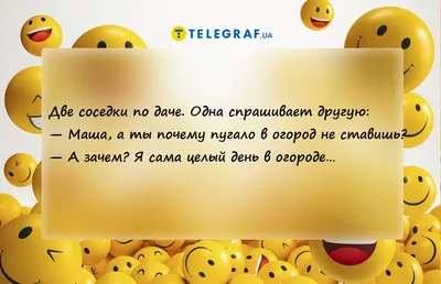 Я не пижжу ХД: истории из жизни, советы, новости, юмор и картинки — Все  посты, страница 35 | Пикабу картинки