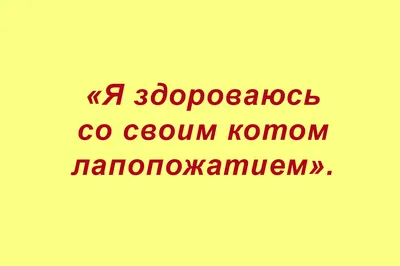 Приколы из сочинений (подборка 160) | СЧАСТЬЕ и ОПТИМИЗМ | Дзен картинки