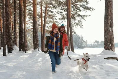 Активный зимний❄️ отдых в Подмосковье картинки