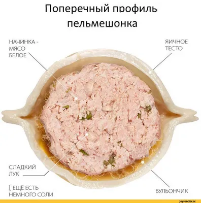 ЛЮБОВЬ К ПЕЛЬМЕНЯМ ОБЪЯСНИМА, ПЕЛЬМЕНИ 310 ЖИЗНЬ, 310 ТЕСТО БЕРЕМЕННОЕ  МЯСОМ, ГОВЯЖЬЕ ЯЙЦО, СИМВОЛ / Пельмени :: Приколы для даунов :: Приколы про  еду :: разное / картинки, гифки, прикольные комиксы, интересные статьи по  теме. картинки