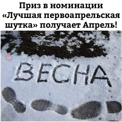 Это лучший первоапрельский прикол над шумерами / Ватные вбросы (ватные  вбросы, ватная аналитика, пандориум,) :: Я Ватник (# я ватник, ) :: разная  политота :: фэндомы / картинки, гифки, прикольные комиксы, интересные  статьи по теме. картинки