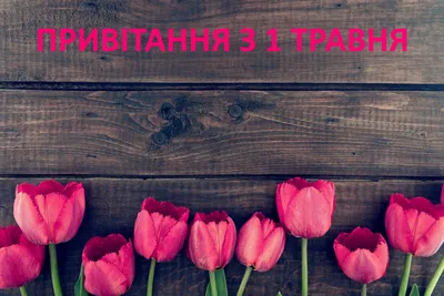 Картинки к 1 мая. Как отметить День весны и труда – Canva картинки