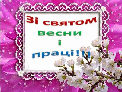 Обои Первомай - Свадьбы бывают разные Юмор и Приколы , обои для рабочего  стола, фотографии первомай, свадьбы, бывают, разные, юмор, приколы Обои для  рабочего стола, скачать обои картинки заставки на рабочий стол. картинки