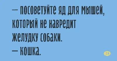 Прикольные картинки. Выпуск 3314 » Невседома картинки