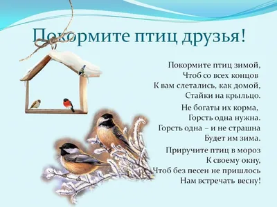Экологическая акция «Покормите птиц зимой — 2023» — МАДОУ Детский сад № 14  г.Липецка картинки