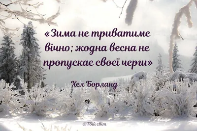 bayram_rb - ПОСЛЕДНИЙ ДЕНЬ ЗИМЫ ❄️ Весна уже на носу, а это значит, что  совсем скоро отступят суровые морозы и серые улицы запестрят красками! Дни  становятся длиннее, птицы поют всё громче, а картинки