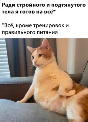 https://pikabu.ru/tag/%D0%AF%D0%B6%D0%BC%D0%B0%D1%82%D1%8C картинки