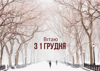 С Днем рождения Дед Мороз! картинки