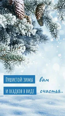 Морозные открытки в День зимы и искренние поздравления 14 октября |  Курьер.Среда | Дзен картинки