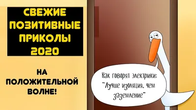 Позитивные свежие приколы 2020, отдохни от негатива и коронавируса! Будь на  позитиве, позитивнее 18 - YouTube картинки