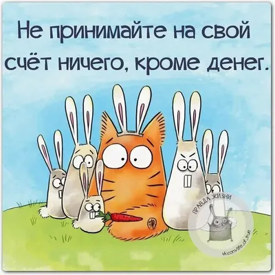 урологвасилевский #ржака #смешно #юмор #укотайка #смехсквозьрвоту #хохма  #угарно #приколы #здоровье #врачи #медики #рниму #сибгму #мгмсу… | Instagram картинки