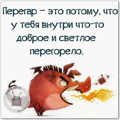 Тип месяца (16 картинок) » Невседома - жизнь полна развлечений, Прикольные  картинки, Видео, Юмор, Фотографии, Фото, Эротика. Развлекательный ресурс.  Развлечение на каждый день картинки