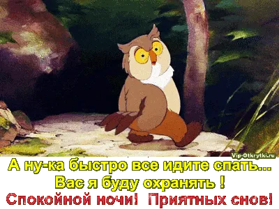 Прикольные картинки «Спокойной ночи!» (47 лучших фото) картинки