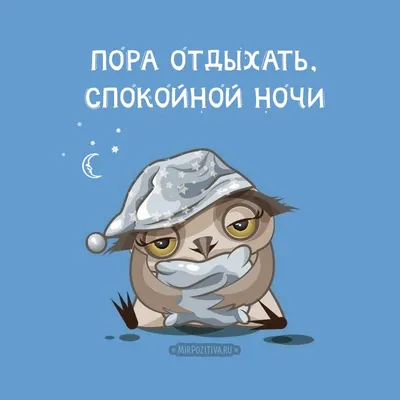 Приколы про Спокойной ночи картинки