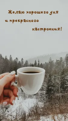 Если не хочешь пропустить хорошее настроение, подпишись на  @KARL_PERESMESHNIK и хэштег #KARL_PERESMESHNIK😉 . #karlжжот #добрыйдень # прикол … | Instagram картинки