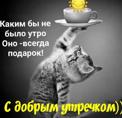 доброеутро #друзья #юмор #семьялюбовь | TikTok картинки