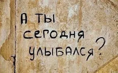 Прикольные афоризмы на все случаи жизни | Жизнь в стиле Ноль отходов (zero  waste) | Дзен картинки