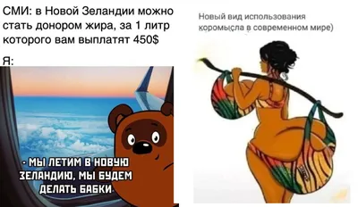 Прикольные картинки с надписями и бизнес в Новой Зеландии | Mixnews картинки