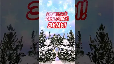 Солнце: *Выходиттри раза за зиму* Я с нулевым уровнем витамина Д в  организме: / Приколы для даунов :: зима :: котэ (прикольные картинки с  кошками) :: разное / картинки, гифки, прикольные комиксы, интересные статьи  по теме. картинки