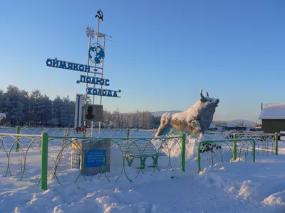 Картинка мороз - 65 фото картинки