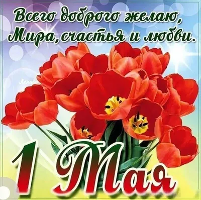 1 мая с праздником! » Фаномания - эротика и приколы картинки