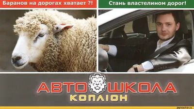 зарулем #автошкола #юмор #прикол | TikTok картинки