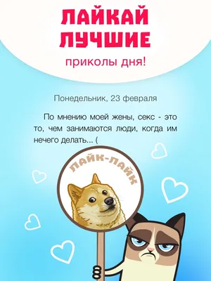 Прикол дня - новые смешные истории из реальной жизни каждый день. im App  Store картинки