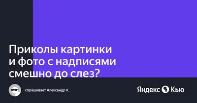 до слез :: табличка :: котэ (прикольные картинки с кошками) / смешные  картинки и другие приколы: комиксы, гиф анимация, видео, лучший  интеллектуальный юмор. картинки