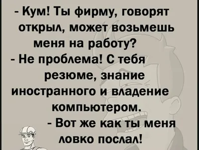 Смешные анекдоты, приколы до слез | Анекдоты от Тимура | Дзен картинки