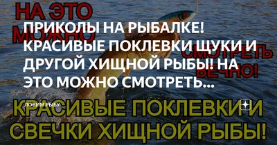 рыба / смешные картинки и другие приколы: комиксы, гиф анимация, видео,  лучший интеллектуальный юмор. картинки