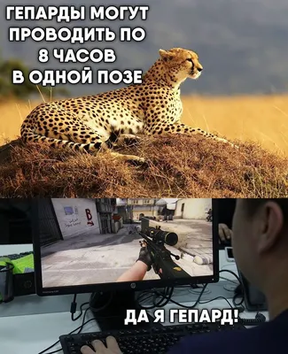 КС ГО МЕМЫ l CS:GO МЕМЫ on Instagram: “#ксгомемы#ксмем #ксгомем #ксмемы#кс# ксго #скины #видиоигры #игры #игра #геймер #геймеры #… | Мемы, Смешные  мемы, Смешной юмор картинки