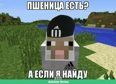 minecraft memes | Minecraft memes, Great memes, Best memes картинки