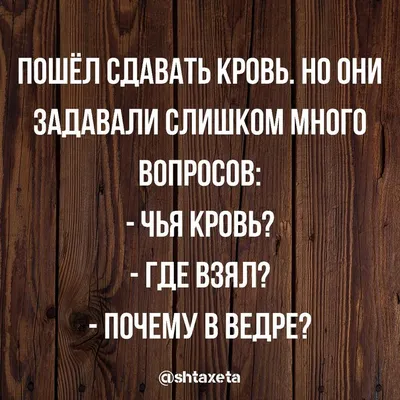 Смешные картинки, юмор в картинках, юмор, смешные фразы и цытаты. #юмор # приколы #сарказм #мемы #шут | Novelty sign картинки