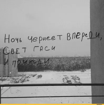 Прикольные картинки с надписями и спокойной ночи не малыши | Mixnews картинки