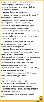 Кстати да, у этой куры реально мозга нет. / твит :: Я Ватник (# я ватник, )  :: разная политота :: интернет :: фэндомы / картинки, гифки, прикольные  комиксы, интересные статьи по теме. картинки